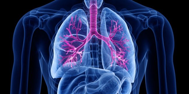 什么是慢性阻塞性肺病 (Chronic Obstructive Pulmonary Disease)，為何與新冠疫情有關？
